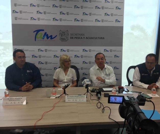 Extienden otro mes veda de camarón Extienden otro mes veda de camarón