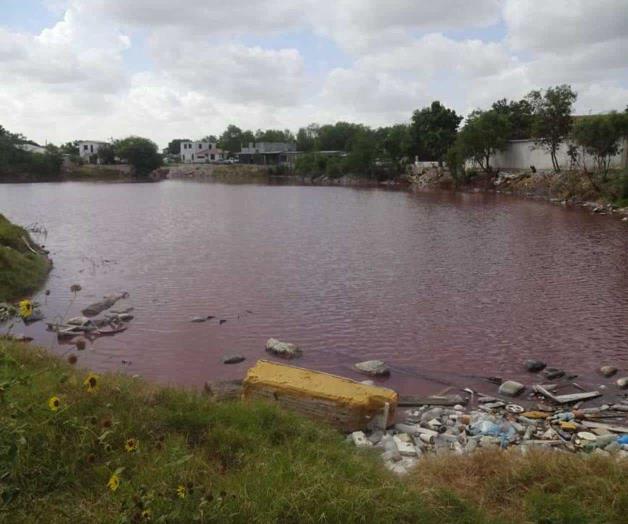 Laguna se tiñe de rojo. Sin respeto a ecosistemas Laguna se tiñe de rojo. Sin respeto a ecosistemas