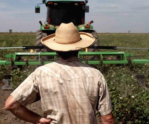 Promueven seguridad de frutas y verduras Promueven seguridad de frutas y verduras