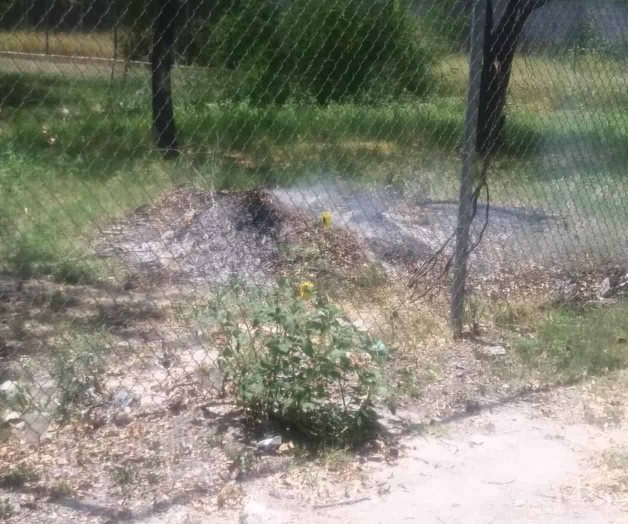 Candil de la calle... Candil de la calle...