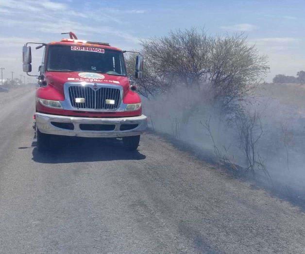Exhortan a no prender fuego a los pastizales Exhortan a no prender fuego a los pastizales