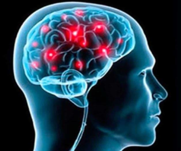 Enfermedades neurodegenerativas, tema fundamental de estudio en medicina Enfermedades neurodegenerativas, tema fundamental de estudio en medicina