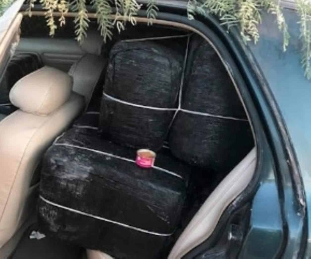 Decomisan mariguana valuada en casi 500 mil dólares Decomisan mariguana valuada en casi 500 mil dólares