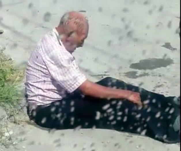 Atacan abejas a un anciano en su domicilio en Matamoros Atacan abejas a un anciano en su domicilio en Matamoros