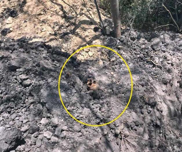 Hallan fosa con restos humanos en Cadereyta Hallan fosa con restos humanos en Cadereyta