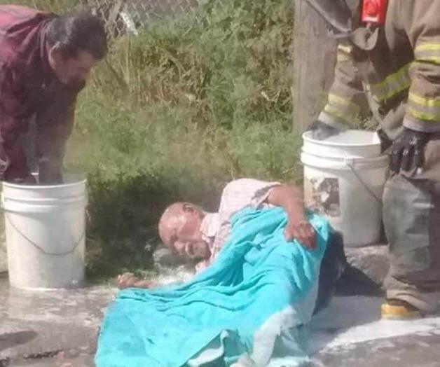 Queda grave tras ataque de abejas Queda grave tras ataque de abejas