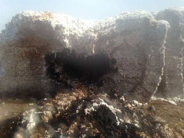 Le prenden fuego a cosecha de algodón Le prenden fuego a cosecha de algodón