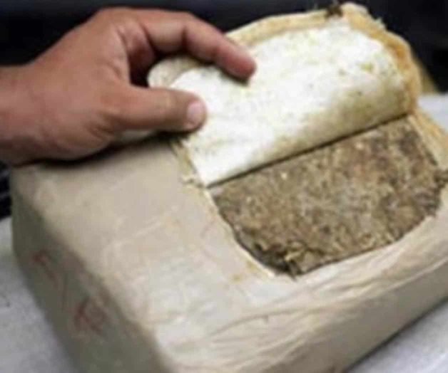 Decomisan 78 kilos de marihuana en Jalisco Decomisan 78 kilos de marihuana en Jalisco