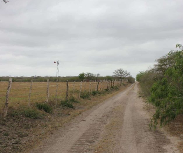 Aumentan inspectores vigilancia, para evitar la caza furtiva de las aves