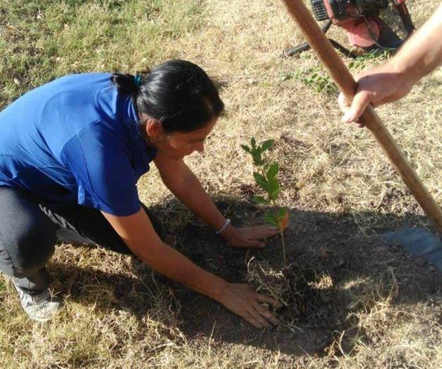 Suma reforestación ciudadana a amas de casa Suma reforestación ciudadana a amas de casa