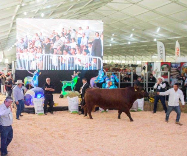 Creció en el sexenio el sector alimentario Creció en el sexenio el sector alimentario