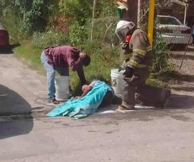 Pide PCyB no combatir las abejas Pide PCyB no combatir las abejas