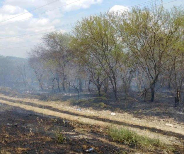 Quemas devoran 8 hectáreas de maleza