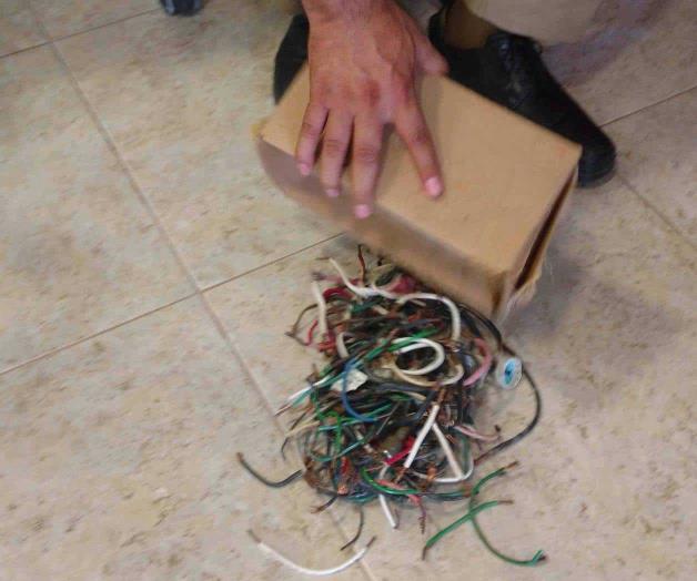 Detecta la CFE diez ‘diablitos’ por quincena. Advierten sobre multas y cárcel Detecta la CFE diez ‘diablitos’ por quincena. Advierten sobre multas y cárcel