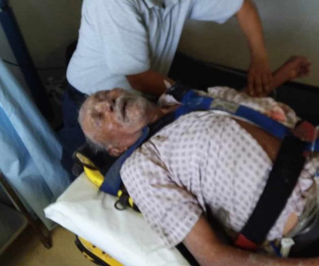 Muere anciano tras ser atacado por abejas en Matamoros Muere anciano tras ser atacado por abejas en Matamoros