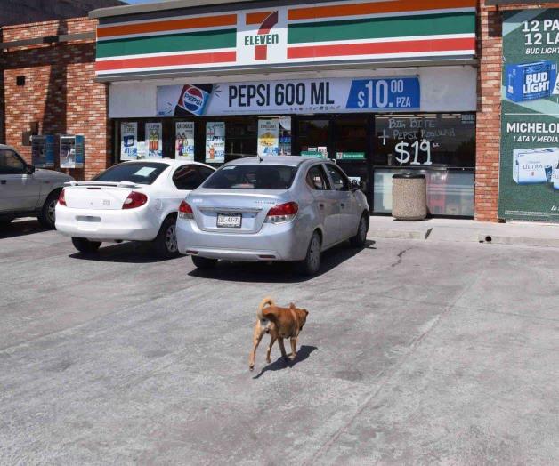 Por robo, acusación contra miembros de Proyecto X 0.02 Por robo, acusación contra miembros de Proyecto X 0.02