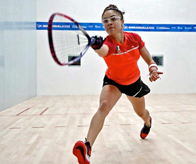 Avanzan a ‘semis’ Avanzan a ‘semis’