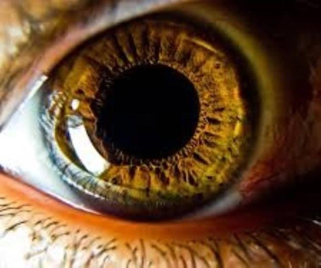 Hallan lente de contacto alojado en ojo por 28 años Hallan lente de contacto alojado en ojo por 28 años