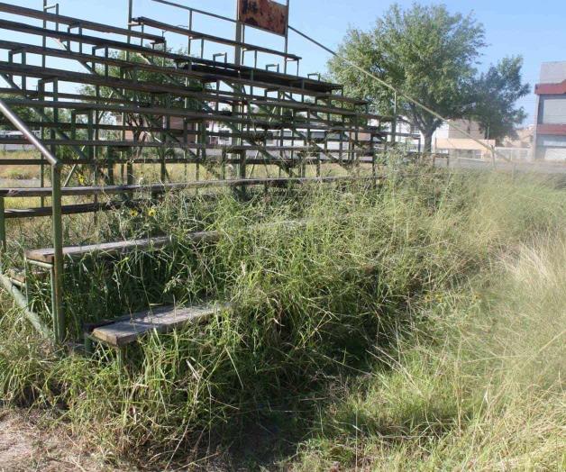 Jumanji urbano Jumanji urbano