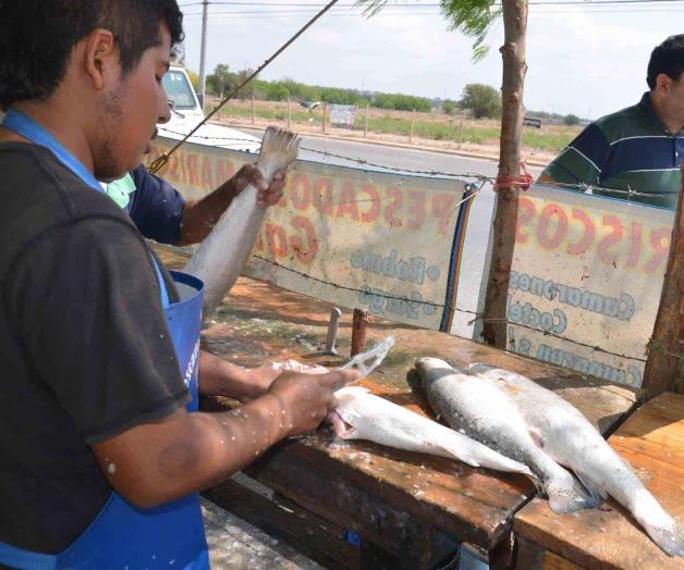 Busca Canadá mano de obra mexicana Busca Canadá mano de obra mexicana
