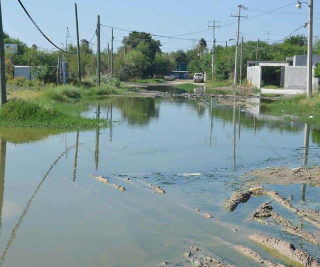Viven entre los malos olores, lodo y criadero de insectos Viven entre los malos olores, lodo y criadero de insectos