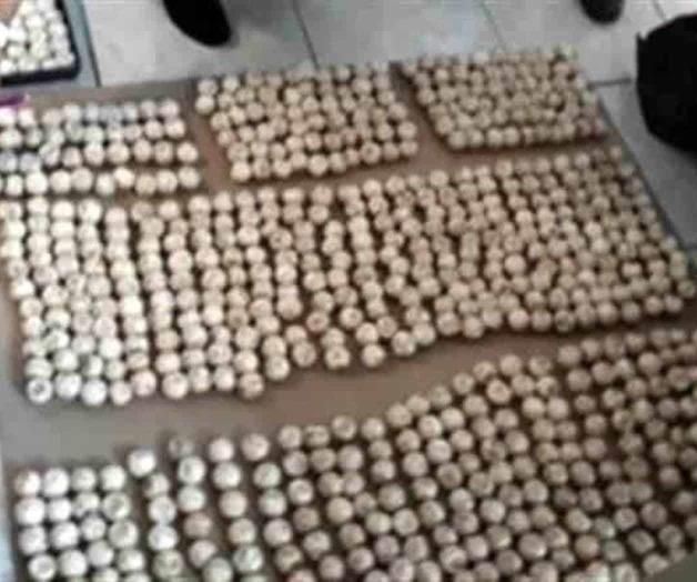 Procesan a uno por portación de mil huevos de tortuga Procesan a uno por portación de mil huevos de tortuga