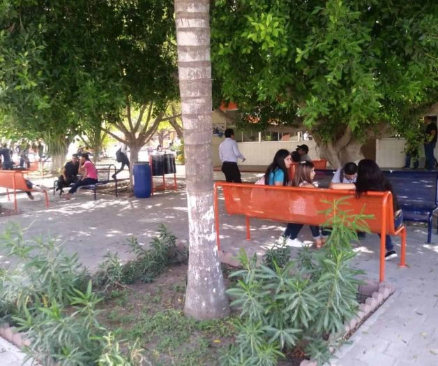 Anuncian encuentro para empleabilidad Anuncian encuentro para empleabilidad