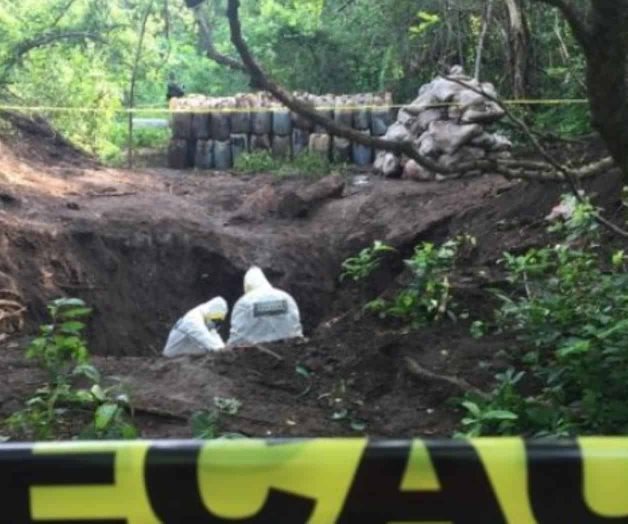 Decomisan casi 47 Ton. de cristal en Sinaloa Decomisan casi 47 Ton. de cristal en Sinaloa