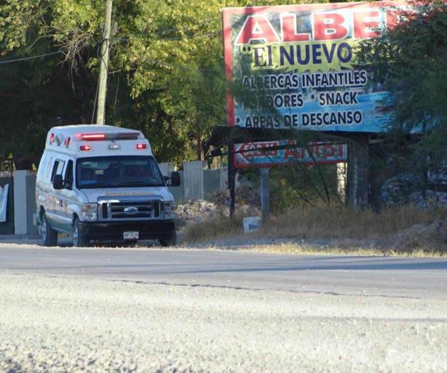 Sufre abuelo brutal ataque de abejas Sufre abuelo brutal ataque de abejas