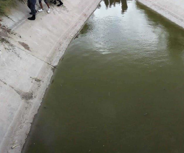Vuelve contaminación Vuelve contaminación