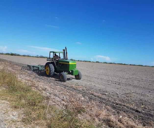 Dejan sin sembrar miles de hectáreas. Falta de suficiente humedad Dejan sin sembrar miles de hectáreas. Falta de suficiente humedad