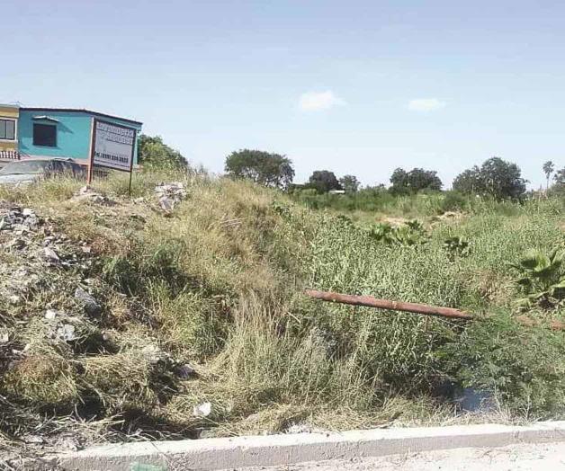 Permanecen sucios los drenes y canales Permanecen sucios los drenes y canales