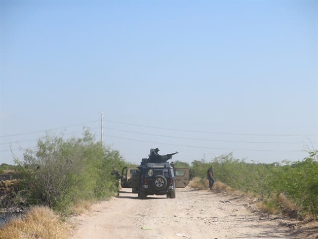 Salva vida al fingir que estaba muerta
