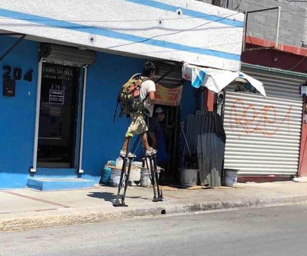 ‘Human Bot’ ‘Human Bot’