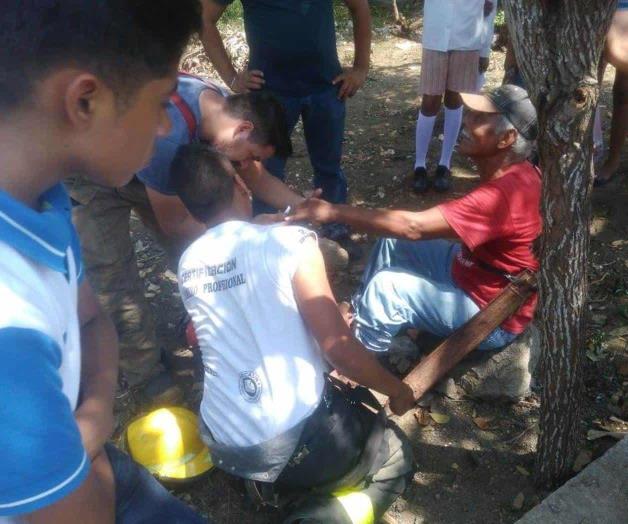 Cortaba un árbol y recibe descarga Cortaba un árbol y recibe descarga