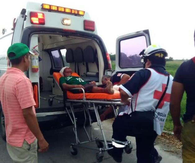 Ataca cocodrilo a un peatón a la orilla de una laguna en Madero Ataca cocodrilo a un peatón a la orilla de una laguna en Madero