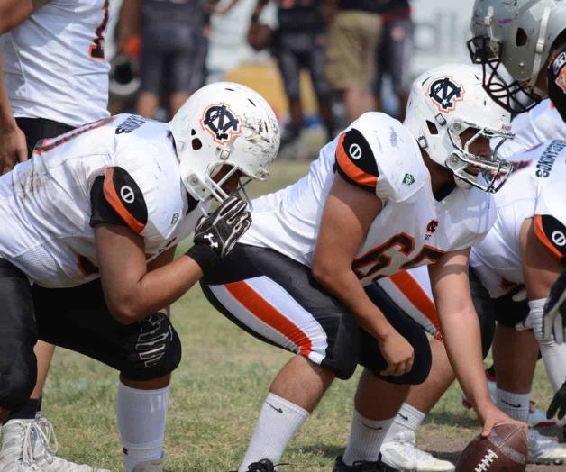 ¡ENSAYO DE LUJO! ¡ENSAYO DE LUJO!