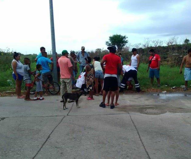 Pretendía cocodrilo devorarse a peatón. Sale de entre maleza y lo ataca Pretendía cocodrilo devorarse a peatón. Sale de entre maleza y lo ataca
