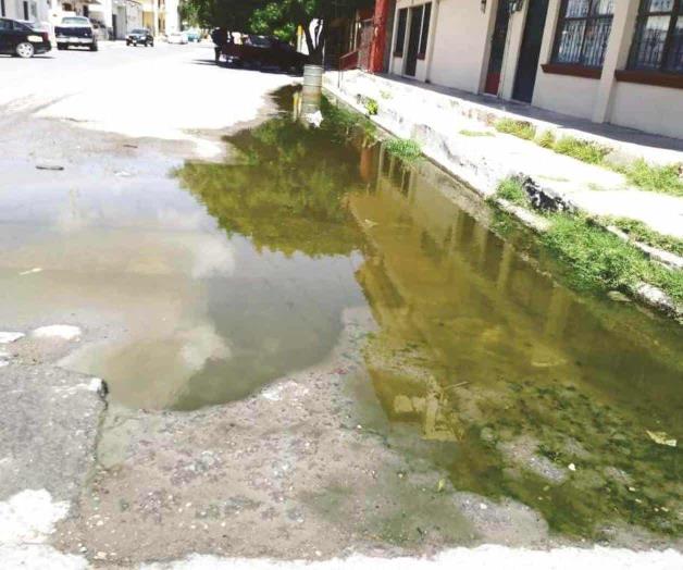 No soportan las fugas colonos de Rodríguez No soportan las fugas colonos de Rodríguez
