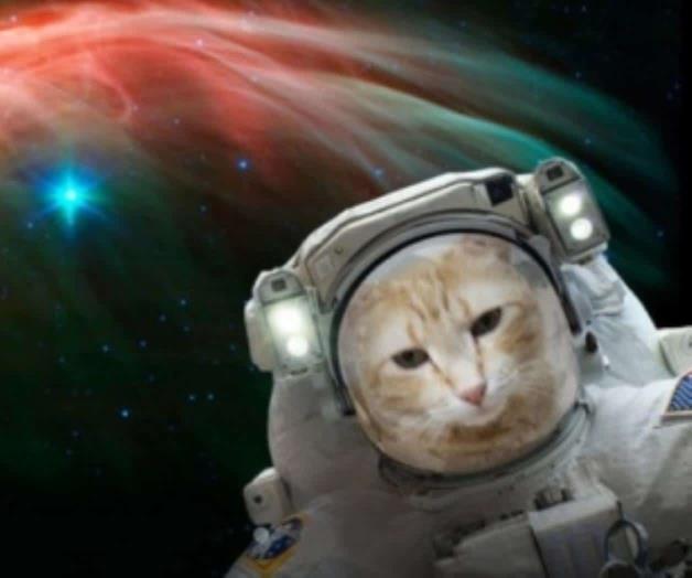 Ofrece NASA nuevos recorridos y selfis espaciales Ofrece NASA nuevos recorridos y selfis espaciales