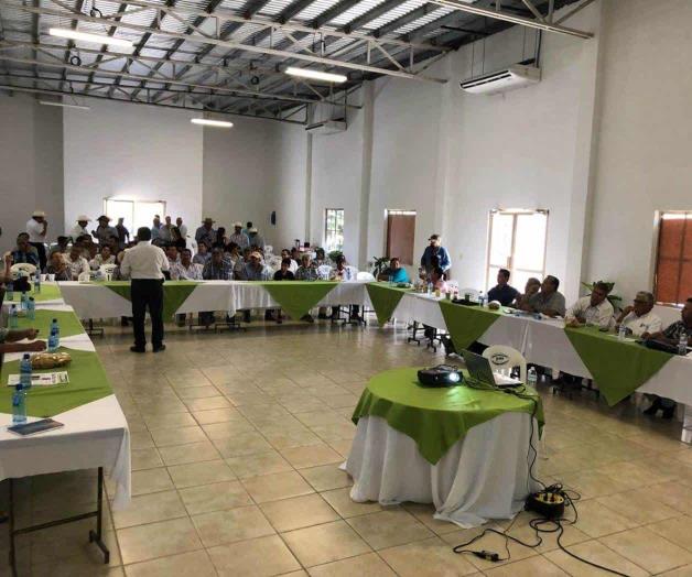 Buscan darle valor agregado al sorgo Buscan darle valor agregado al sorgo