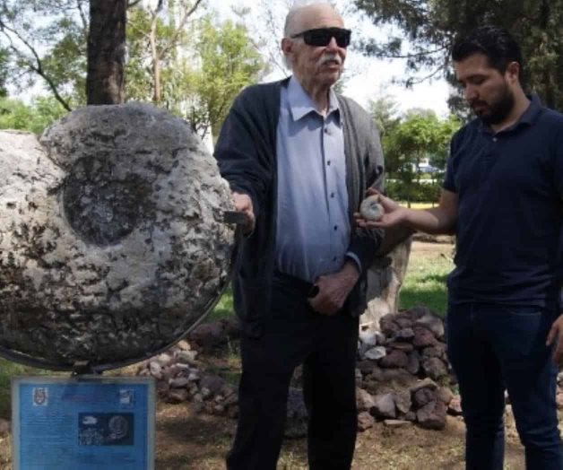 IPN descubre fósil único en el mundo IPN descubre fósil único en el mundo