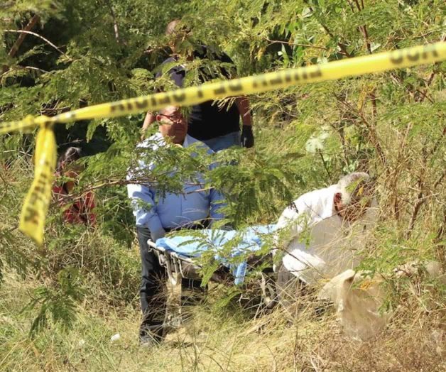 Aumento de suicidios podría ser por el calor Aumento de suicidios podría ser por el calor