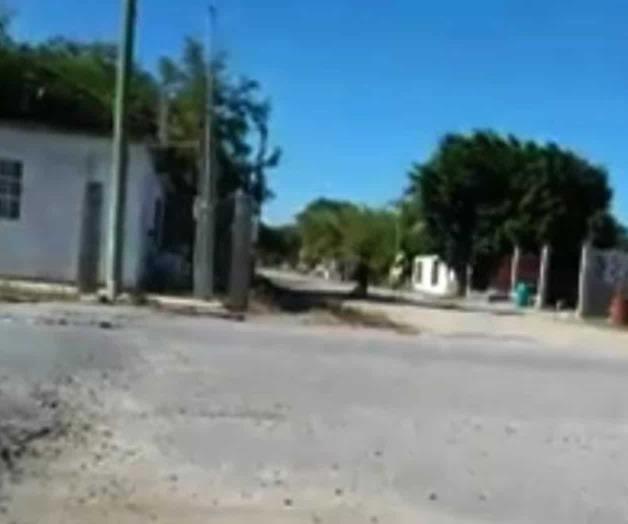 Capturan maltrato animal y lo exhiben Capturan maltrato animal y lo exhiben