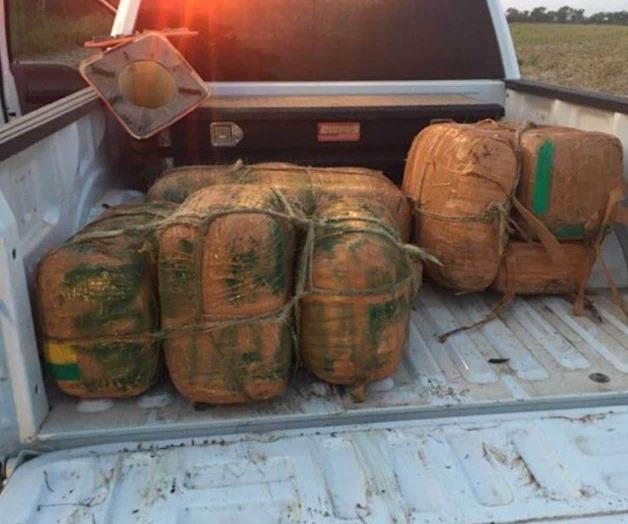 Decomisan mariguana, pero los narcos huyen. Aseguran más de mil libras Decomisan mariguana, pero los narcos huyen. Aseguran más de mil libras