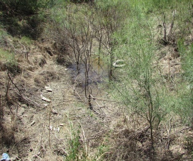 Incumplen con limpiar los drenes. No hay recursos, dicen dirigentes Incumplen con limpiar los drenes. No hay recursos, dicen dirigentes