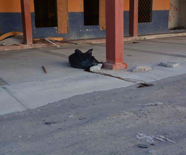 Desata psicosis una bolsa negra Desata psicosis una bolsa negra