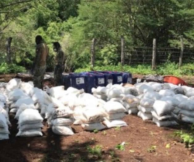 Incautan más de 10 toneladas de droga en Culiacán Incautan más de 10 toneladas de droga en Culiacán