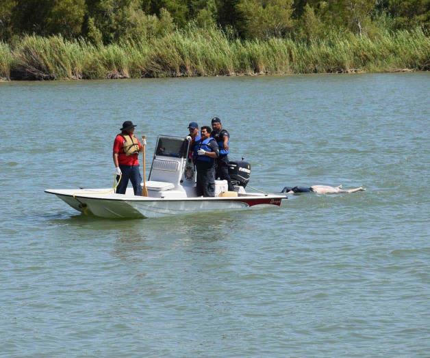 Flotaba cadáver en el río Bravo Flotaba cadáver en el río Bravo