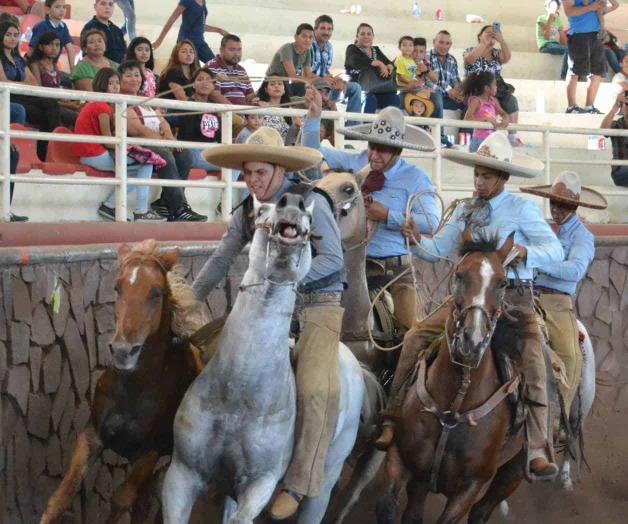 ¡VAN A ‘SEMIS’! ¡VAN A ‘SEMIS’!